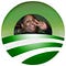 Go to the profile of Roney Smith
