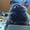 Go to the profile of Windy Anabasis