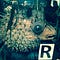 Go to the profile of Rollo