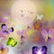 Go to the profile of Amy Andrews