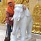 Go to the profile of Pratiwi Prameswari