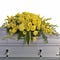 Go to the profile of Casket Albany OR