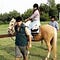 Go to the profile of Jonatha Davis
