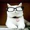 Go to the profile of Huyen Nguyen
