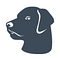 Go to the profile of Galvin Technologies