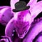 Go to the profile of Yoshimitsu Pink