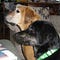 Go to the profile of Perla