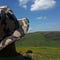 Go to the profile of Thabiso May