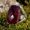 Go to the profile of Rubycharm