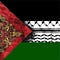 Go to the profile of México Palestina