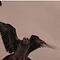 Go to the profile of Kirsten O'Loughlin