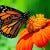 Go to the profile of Terri Daly