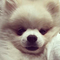 Go to the profile of Calvin Lei