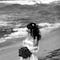 Go to the profile of Lesly Kahn