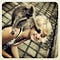 Go to the profile of Tina Reymann