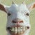 Go to the profile of Kan Tubtimthong