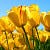 Go to the profile of busin`ka