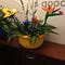 Go to the profile of Flower Child