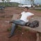 Go to the profile of Aseem Rohatgi