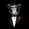 Go to the profile of Will Haire