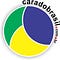 Go to the profile of CaradoBrasil