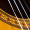 Go to the profile of guitardaily