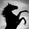 Go to the profile of Dark Horse