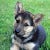 Go to the profile of Lucas Hansen