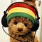 Go to the profile of Nati Shochat
