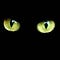 Go to the profile of Romain Pillard