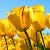 Go to the profile of Ashish Arora