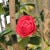 Go to the profile of Peipei Xiang