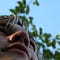 Go to the profile of Adam Safar
