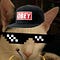 Go to the profile of Domino