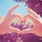 Go to the profile of sunshineboy