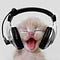 Go to the profile of Kitti Ngamkhum