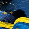 Ukraine in Europe