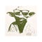 BoomBox Yoda