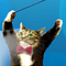 Go to the profile of GoDeen