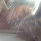 Go to the profile of Ina Soares