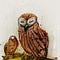 Go to the profile of the laughing owl