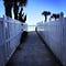 Go to the profile of Y.V.A.Y.T