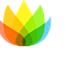 Go to the profile of GOZUIDINDIA