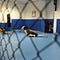 Buddy Gym News