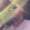 Go to the profile of Shedrick Johnson