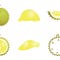 Go to the profile of 21st Century Durian