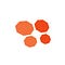 Go to the profile of Magento Store