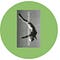 Go to the profile of Turning in Somersaults.
