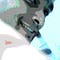 Go to the profile of palmaone