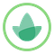 CollegeVine